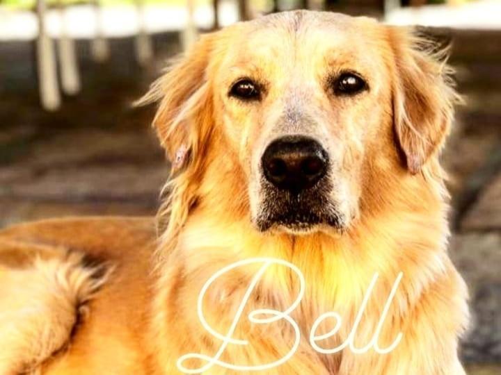 Pousada Da Bell Barreirinhas Dış mekan fotoğraf
